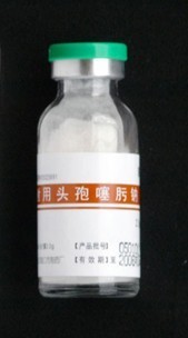 頭孢噻呋鈉銷售!頭孢噻呋鈉是全球第一個(gè)畜禽專用的第三代頭孢菌素,屬?gòu)V譜抗生素,對(duì)革蘭氏陽(yáng)性菌和革蘭氏陰性菌均有強(qiáng)大的抗菌活性?！精F藥名稱】通用名:頭孢噻呋鈉 英文名:Ceftiofur Sodium漢語(yǔ)拼音:Toubaosaifuna【化學(xué)名稱】[6R-[6α,7β(Z)]]-7-[[(2-氨基-4-噻唑基)(甲氧 .中國(guó)蘭壽網(wǎng)(中國(guó)蘭壽金魚(yú)網(wǎng)) [ChinaGoldFish]